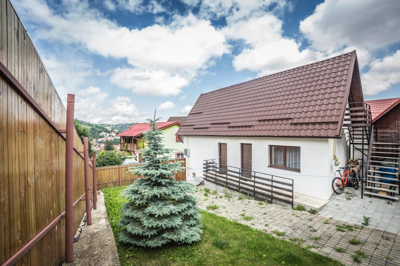 Studio cu vedere spre munte